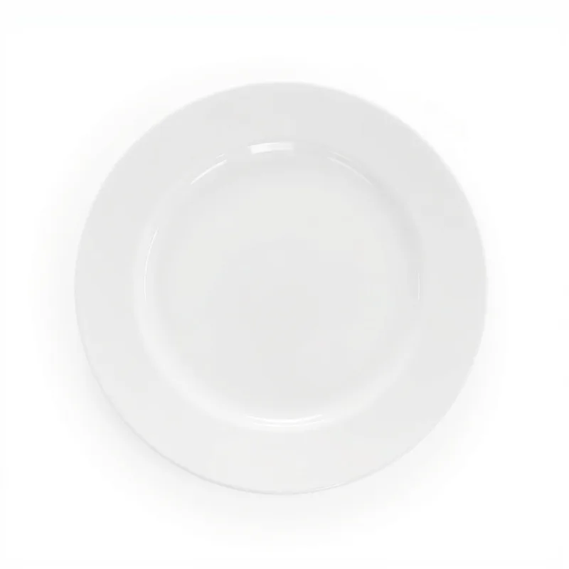 Assiette plate porcelaine blanche restaurant Ø 27 cm